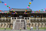 IMG_8980.JPG