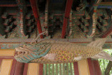 IMG_8988.JPG