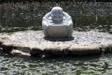 IMG_9520.JPG