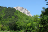 IMG_9653.JPG