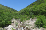 IMG_9677.JPG