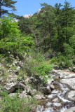 IMG_9686.JPG