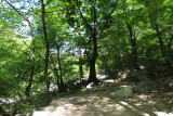 IMG_9690.JPG
