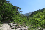 IMG_9735.JPG