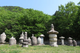 IMG_9753.JPG