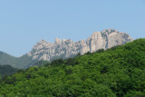 IMG_9758.JPG