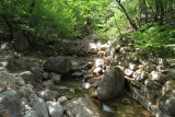 IMG_9760.JPG