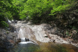 IMG_9771.JPG