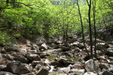 IMG_9772.JPG