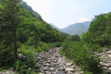 IMG_9806.JPG