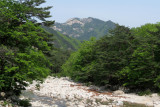 IMG_9807.JPG