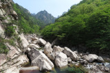 IMG_9831.JPG