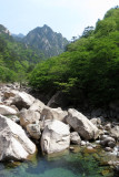 IMG_9835.JPG