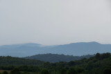 IMG_1756.JPG