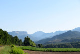 IMG_1861.JPG
