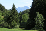 IMG_1944.JPG