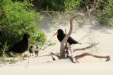 Surrat Bay
