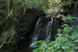 MacLean Falls