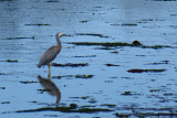 IMG_3216.JPG
