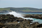 Curio Bay