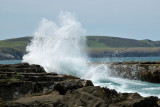 Curio Bay