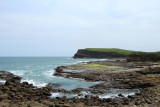 Curio Bay