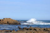 Curio Bay