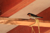 IMG_1410.JPG