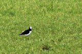 IMG_1571.JPG