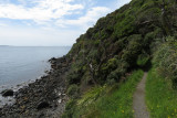 IMG_3261.JPG