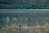 Glenorchy