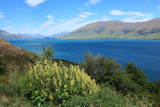 Lake Wanaka