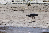 IMG_1371.JPG