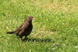 IMG_1837.JPG
