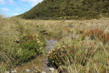 Mount Cook NP