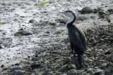 IMG_3384.JPG
