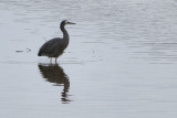 IMG_3387.JPG