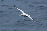 IMG_2664.JPG