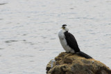 IMG_2716.JPG