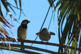 IMG_3085.JPG