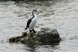 Kaikoura
