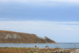 Kaikoura