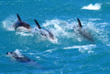 Kaikoura