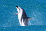 Kaikoura