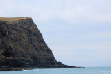 Akaroa