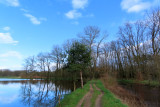 De Nete