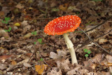 IMG_2540.JPG