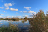 IMG_3290.JPG