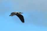 IMG_3926.JPG
