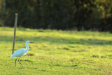 IMG_3994.JPG